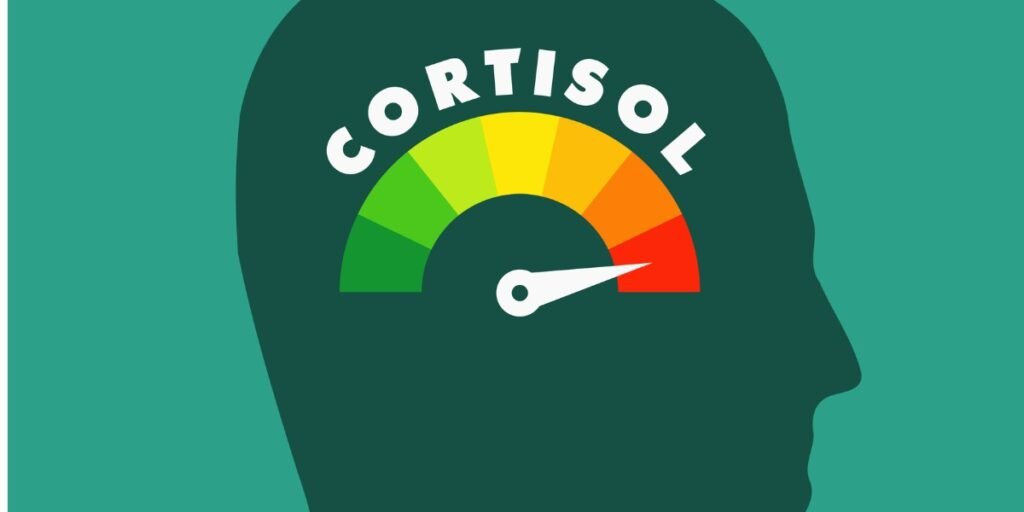 Own Your Cortisol